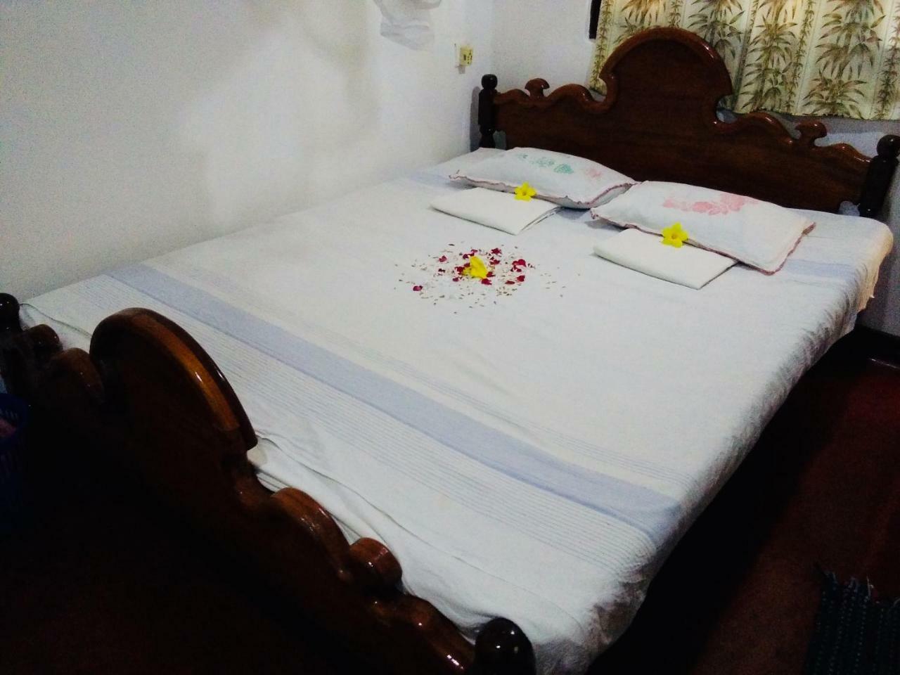 Hikkaduwa Backyard Beach Homestay Galle Exteriér fotografie