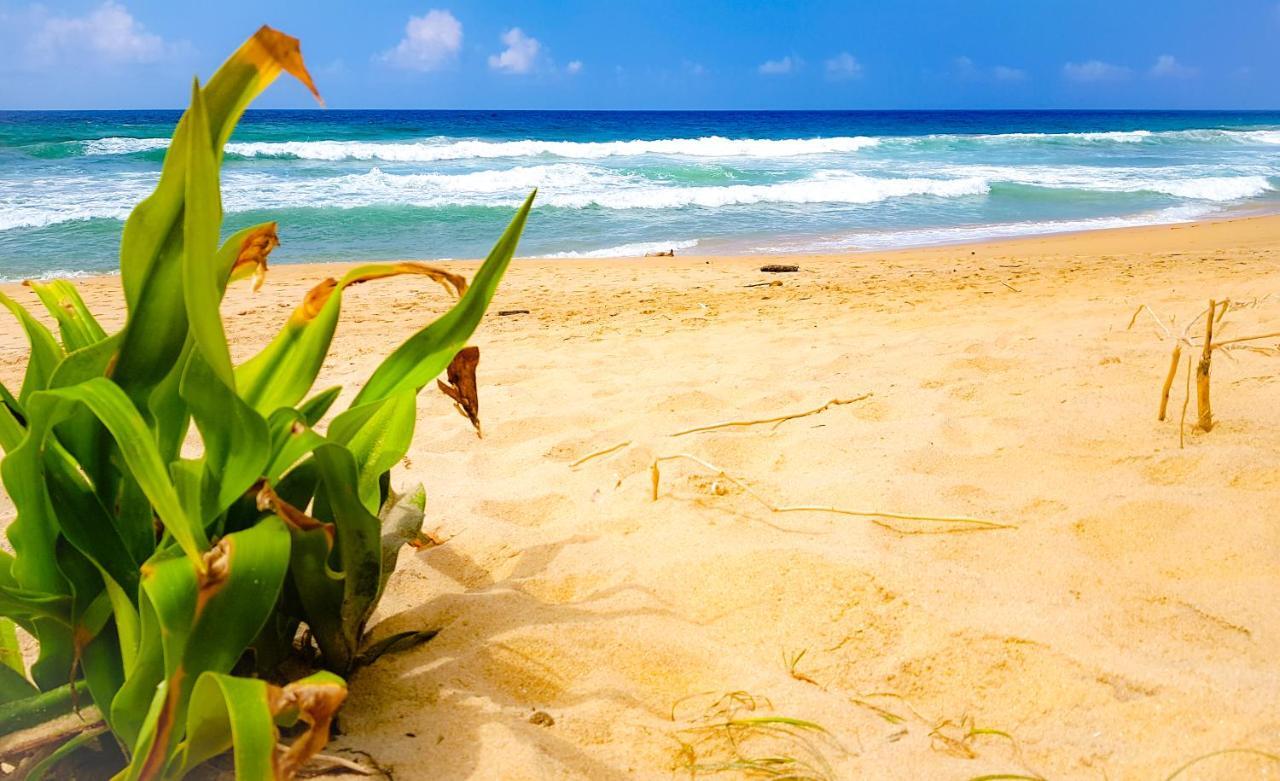 Hikkaduwa Backyard Beach Homestay Galle Exteriér fotografie