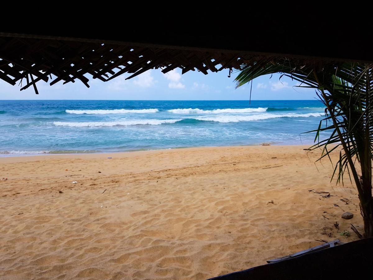Hikkaduwa Backyard Beach Homestay Galle Exteriér fotografie